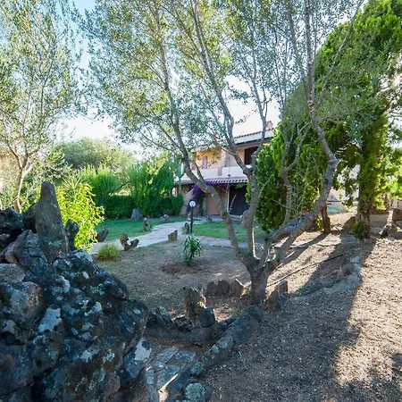 Holiday home Lilly Olbia