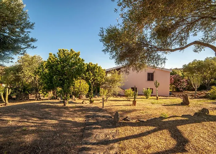 Lilly * Ольбия